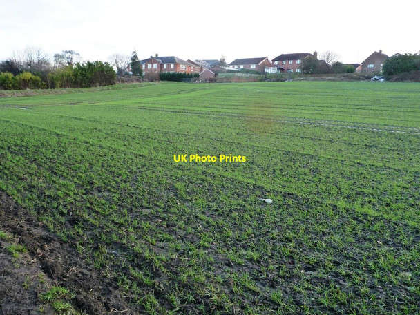Photo 6"x4" Greening field between Lofthouse and Robin Hood Rothwell\/SE3428 c2014