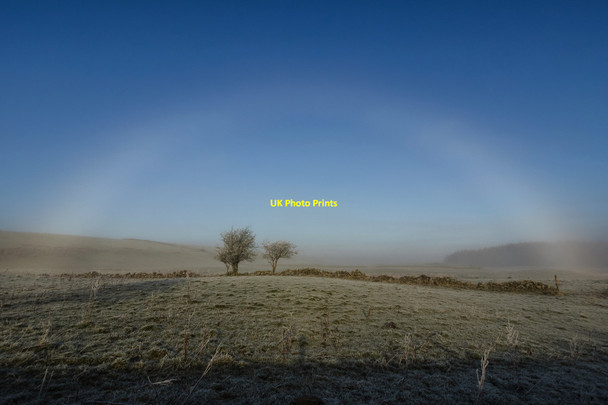 Photo 6"x4" Fogbow near Barnearnie Kirkcowan c2014