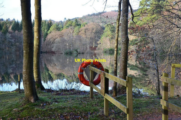 Photo 6"x4" Lower Lake, Bowhill Estate Bowhill\/NT4227 c2015