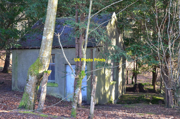 Photo 6"x4" Old hydroelectric house, Bowhill Bowhill\/NT4227 c2015