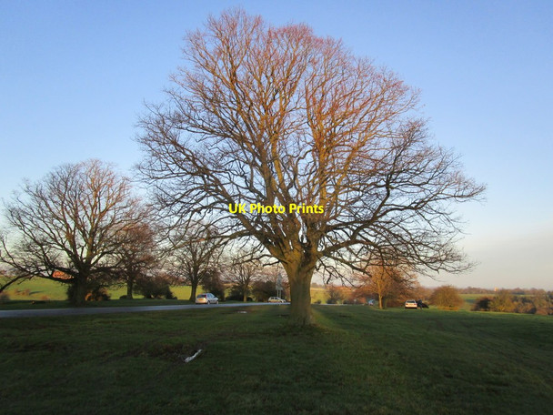 Photo 6"x4" Beverley Westwood Hurn\/TA0240 c2015