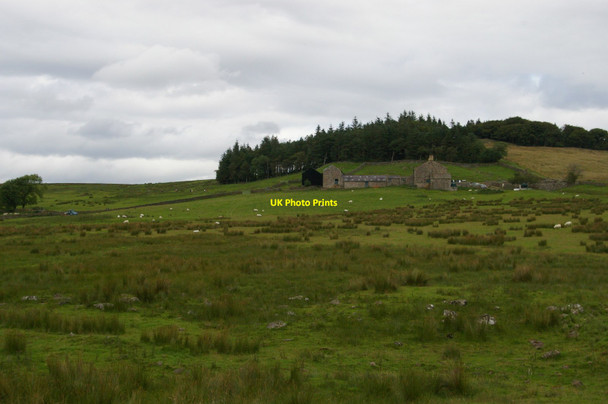 Photo 6"x4" Hotbank Farm from the south-west Birkshaw\/NY7765 c2012