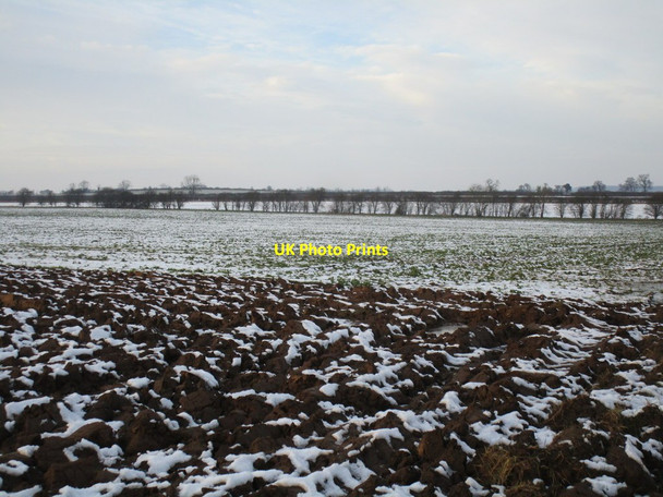 Photo 6"x4" Snowy field East Drayton c2014