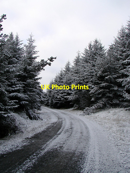 Photo 6"x4" Forestry road, Esgair Ychion Llanifyny c2011