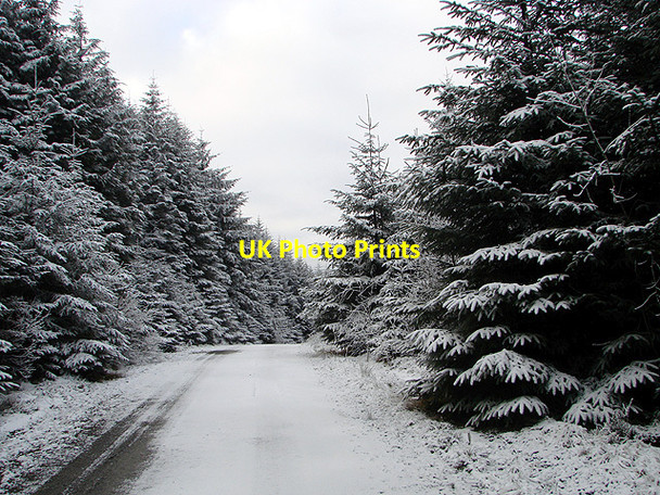 Photo 6"x4" Forestry road, Esgair Ychion Llanifyny c2011 P1