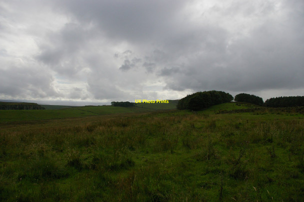 Photo 6"x4" Looking west from Peatrigg Birkshaw\/NY7765 c2012
