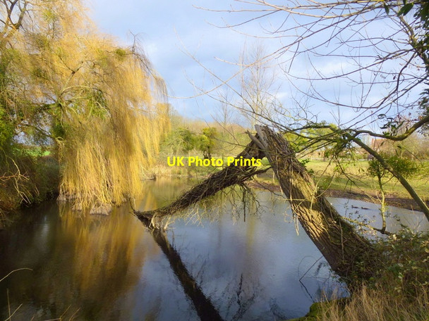 Photo 6"x4" Pond at Thing-hill Court Withington\/SO5643 c2014