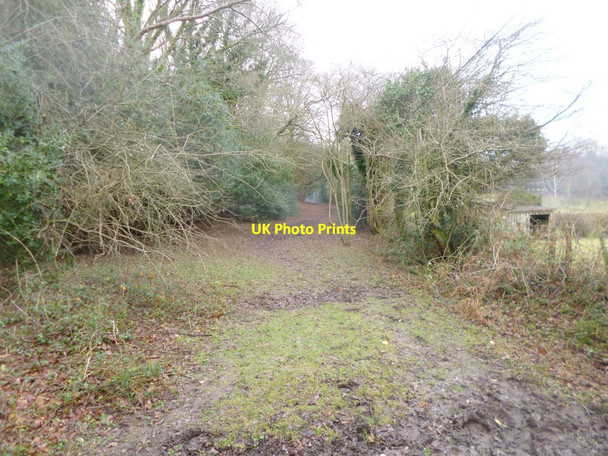 Photo 6"x4" Newtown, bridleway Newtown\/SU2710 c2015