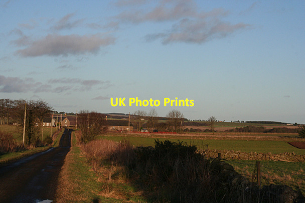 Photo 6"x4" The Road to Hatton Gallowfauld c2015
