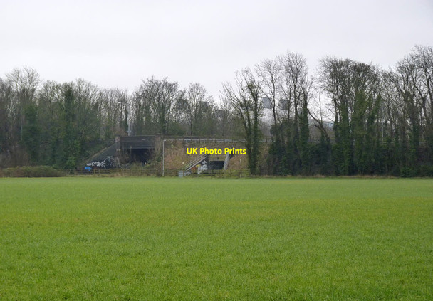 Photo 6"x4" Long Road embankment and bridges Trumpington c2014