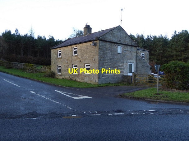 Photo 6"x4" Sandyford Cottage Healey\/NZ0158 c2015