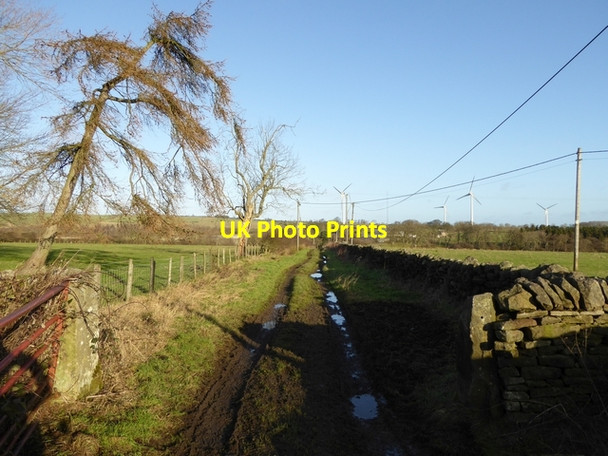 Photo 6"x4" Byway to Airy Holm Farm Carterway Heads c2015