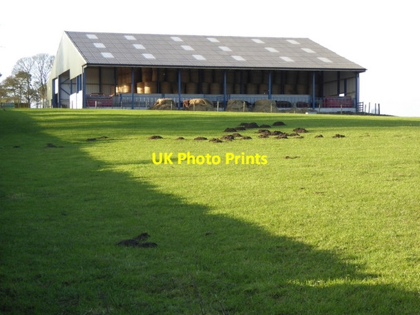 Photo 6"x4" Barn, bales and molehills at Greymare Hill Farm Shotleyfield c2015