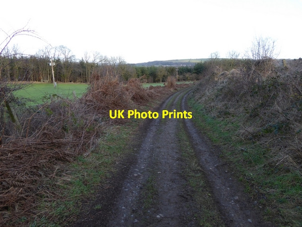 Photo 6"x4" Byway from Broomley to Ridley Broomley\/NZ0360 c2015