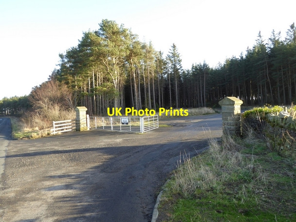 Photo 6"x4" Farm entrance in Mosspool Plantation Shotleyfield c2015