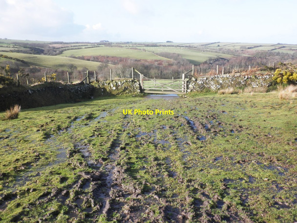 Photo 6"x4" Track to West Ilkerton West Ilkerton c2015