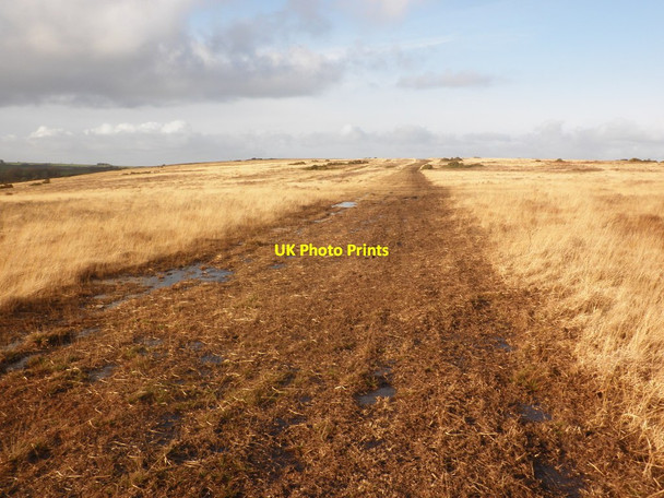 Photo 6"x4" Track on Ilkerton Ridge East Ilkerton c2015