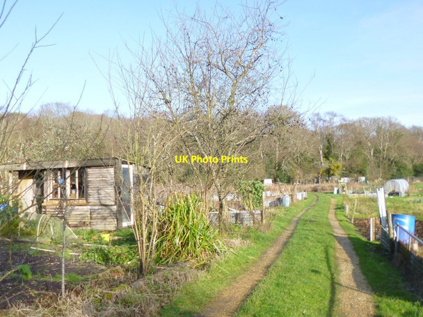 Photo 6"x4" Pikes Hill, allotments Custards c2015