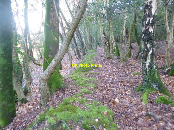 Photo 6"x4" Foldsgate Inclosure, embankment & ditch Custards c2015