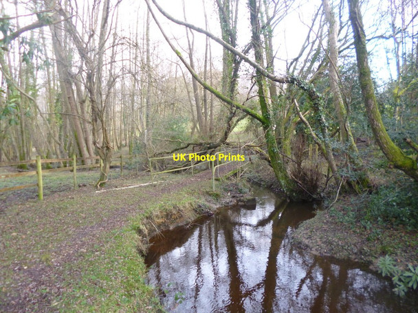 Photo 6"x4" Pikes Hill, footbridge Custards c2015