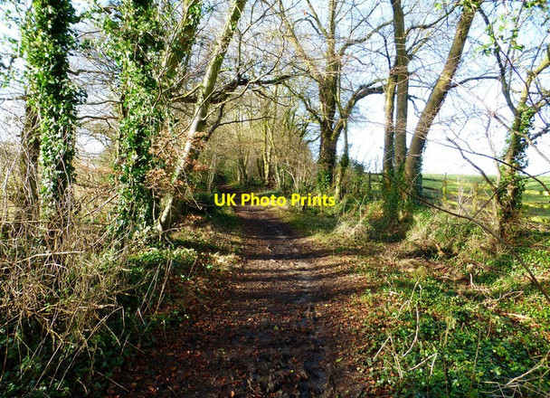 Photo 6"x4" Track towards Broom Farm Hoe Gate c2015
