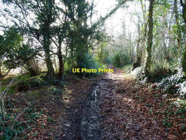 Photo 6"x4" Track going south near Russell's Farm Hoe Gate c2015