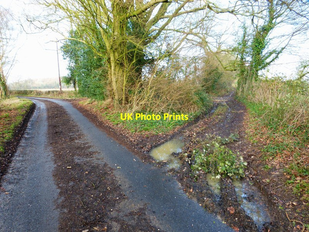 Photo 6"x4" Track junction on Armsworth Lane Hoe Gate c2015