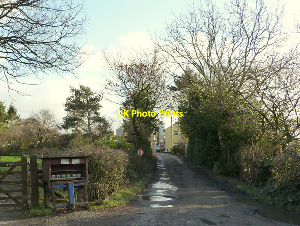 Photo 6"x4" Free range eggs for sale Eccleston\/SD5117 c2015