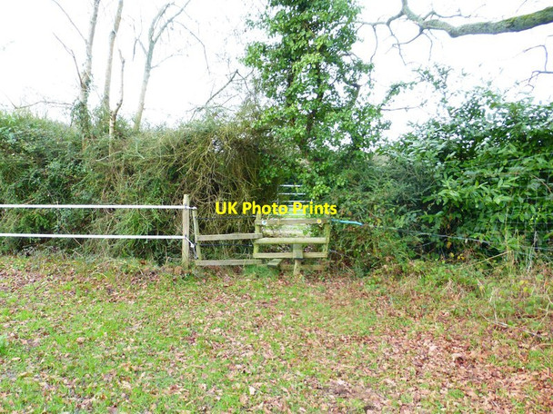 Photo 6"x4" Footpath crosses stile to driveway Newtown\/SU6112 c2015
