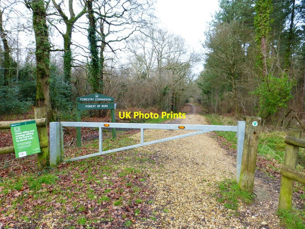Photo 6"x4" Entrance to Forest of Bere on Hundred Acres Road Newtown\/SU6112 c2015
