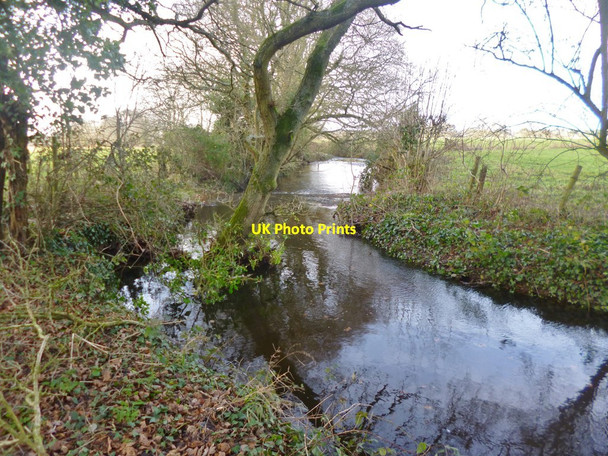 Photo 6"x4" Stuckton, Ditchend Brook Fordingbridge c2015