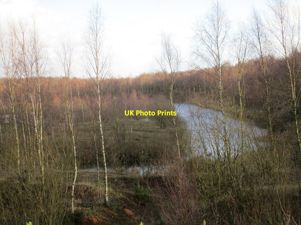 Photo 6"x4" Former sand pit Blaxton\/SE6700 c2015