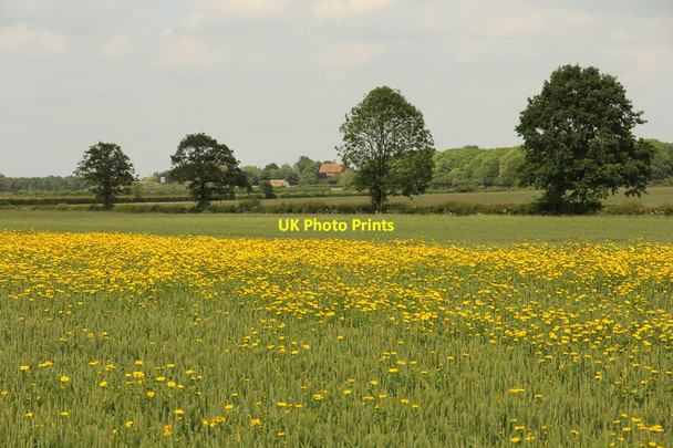 Photo 6"x4" Stixwould farmland Woodhall Spa c2014