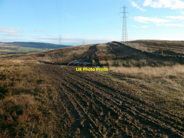 Photo 6"x4" Tracks on Carman Muir Alexandria c2014