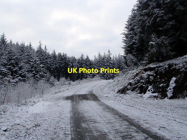 Photo 6"x4" Forestry road, Esgair Ychion Llanifyny c2011 P1