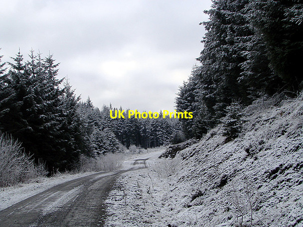 Photo 6"x4" Forestry road, Esgair Ychion Llanifyny c2011