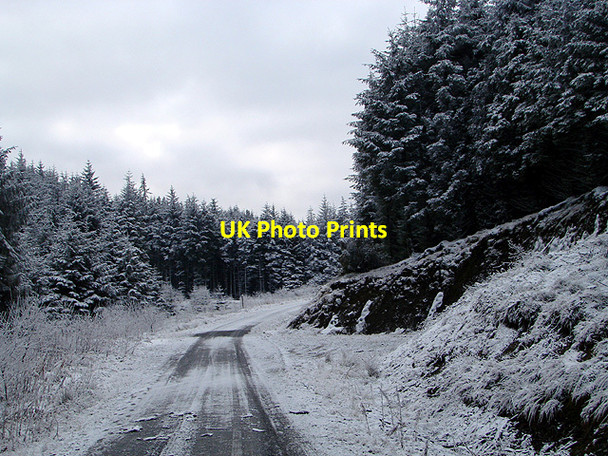 Photo 6"x4" Forestry road, Esgair Ychion Llanifyny c2011 P1