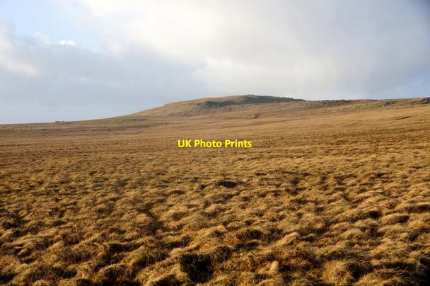 Photo 6"x4" Gravins, Fetlar Houbie\/HU6290 c2015