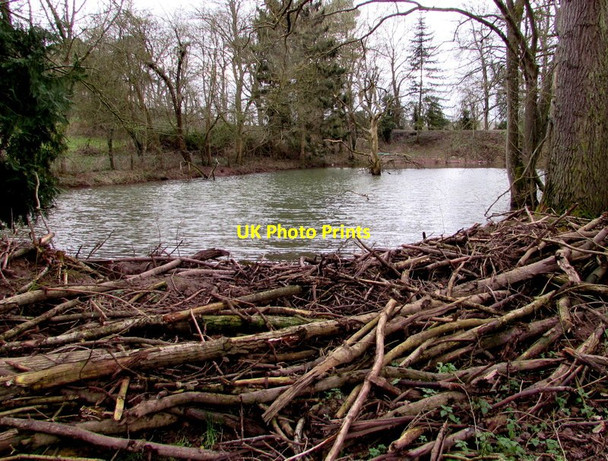 Photo 6"x4" Pond, Ruxton King's Caple c2015