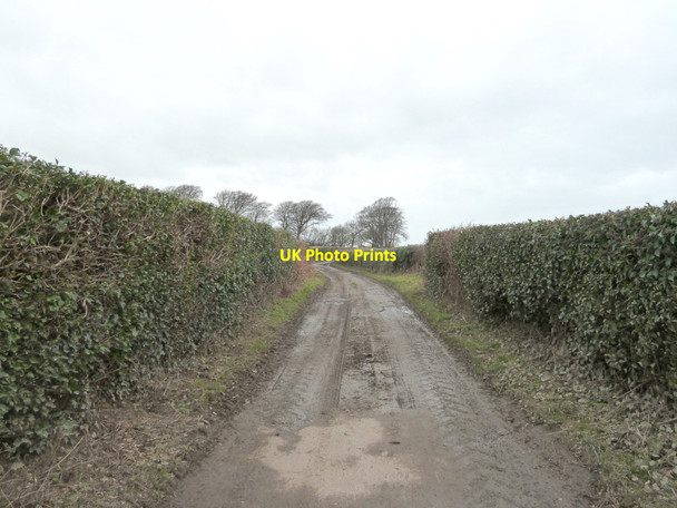 Photo 6"x4" Farm track near Ty'n-y-caeau Llanasa Llanasa c2015 P1