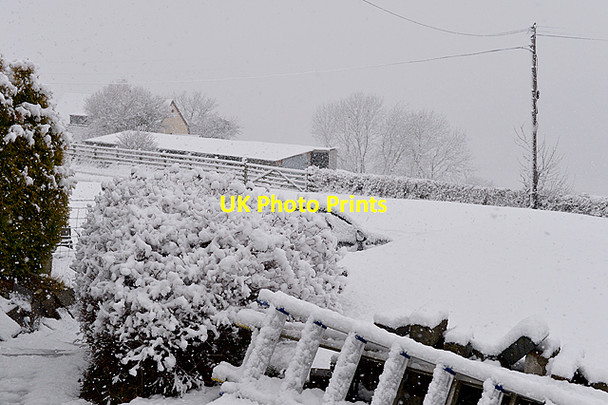 Photo 6"x4" Snowing at Pisgah Pisgah\/SN6777 c2015 P1
