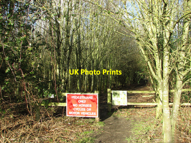 Photo 6"x4" Path into Poringland Community Wood Poringland c2015 P1