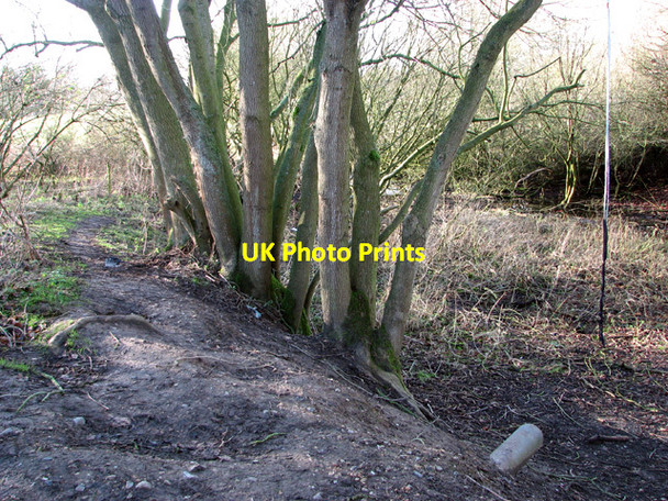 Photo 6"x4" Track in Poringland Community Wood Poringland c2015