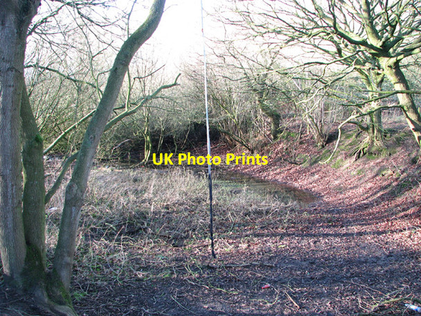 Photo 6"x4" Dried out pond in Poringland Community Wood Poringland c2015