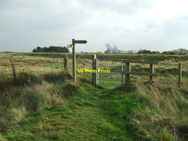 Photo 6"x4" Gate And Sign Aldeburgh c2014