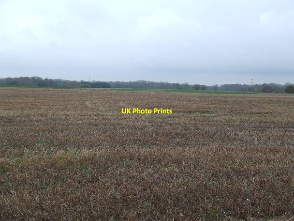 Photo 6"x4" Open Field North Cove c2014