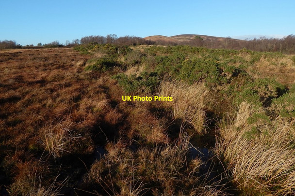 Photo 6"x4" Remains of a road Alexandria c2015