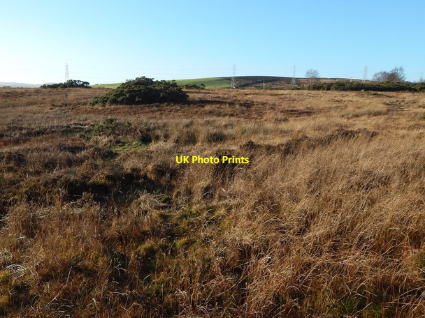 Photo 6"x4" Remains of a boundary Alexandria c2015