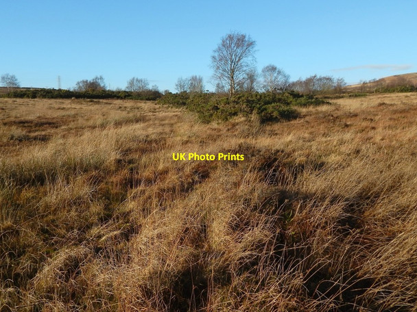 Photo 6"x4" Remains of a boundary Alexandria c2015 P1