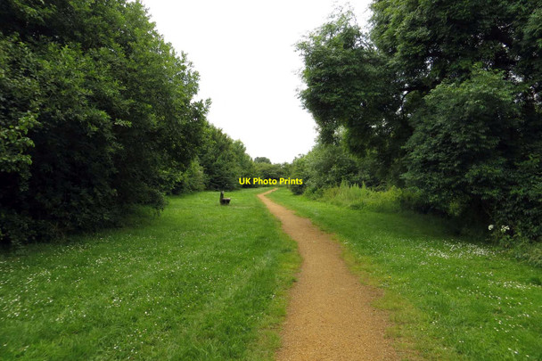 Photo 6"x4" Path along the River Bure Bicester c2014